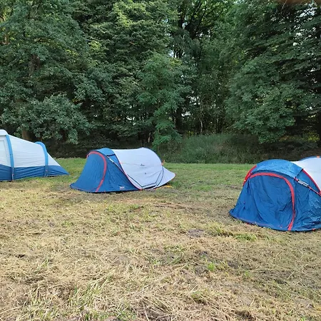 Novy Camping