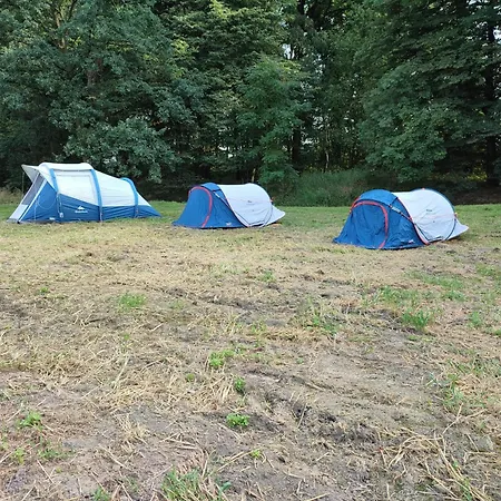 Camping Novy *